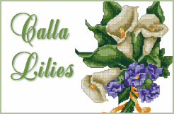 Calla Lilies