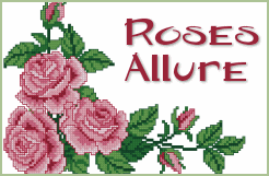 Roses Allure Combo