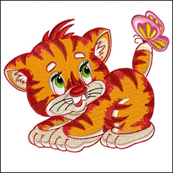 Kitten-N-Butterfly