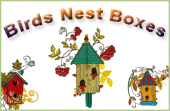 Birds Nest Boxes