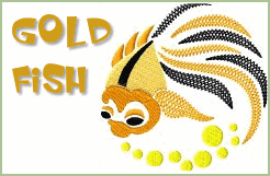 Gold Fish