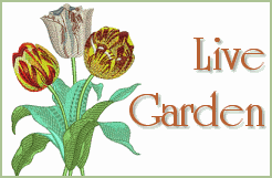 Live Garden