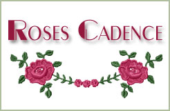 Roses Cadence