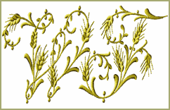 Wheat Font