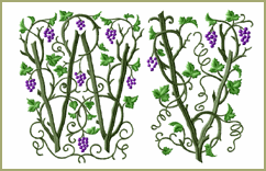 Wild Vine Monograms