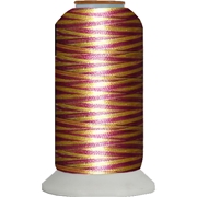 Variegated Embroidery Thread Cone Spring Berry M121