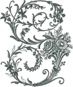 Letter G from Victorian Whitework Font