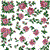 Roses Allure Combo
