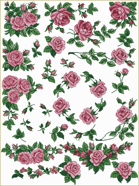 Roses Allure Combo