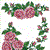 Roses Allure Set 3