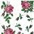 Roses Allure Set 4