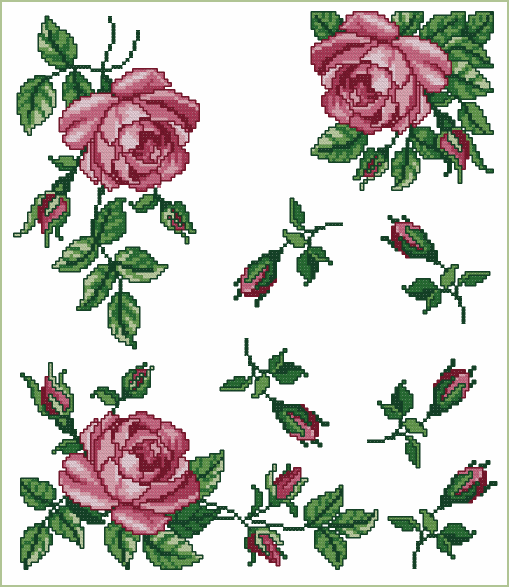 Roses Allure Set 4