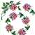 Roses Allure Set 5