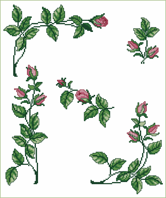 Roses Allure Set 6