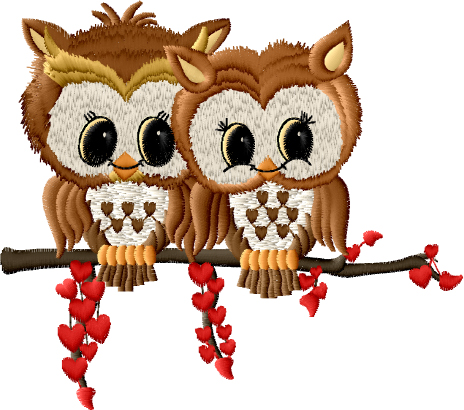 Pair of Owls