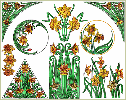 Daffodils