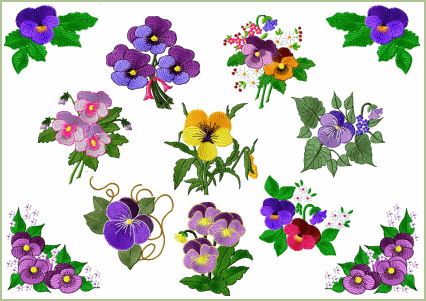 Fancy Pansies