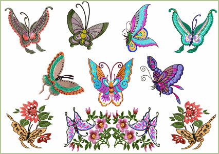 Oriental Butterflies