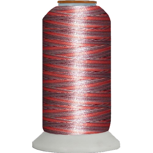 Variegated Embroidery Thread Cone Valentine M137