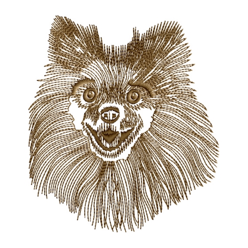 Spitz